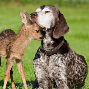 Meet your Posher, Emma